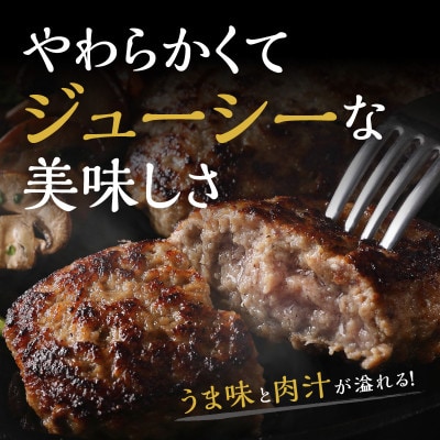 15個入り!博多和牛 手ごね熟成生ハンバーグ/黄金レシピ