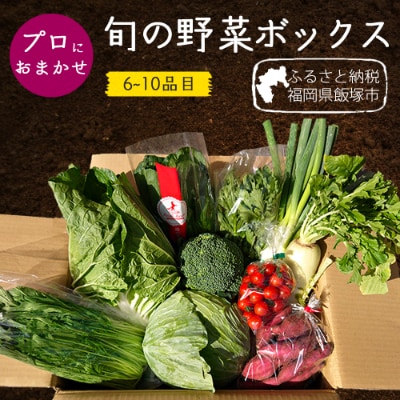 プロにおまかせ　筑前のお野菜ボックス6～10種類【お野菜の詰め合わせ100サイズ】【福岡県飯塚市】