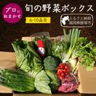 プロにおまかせ　筑前のお野菜ボックス6～10種類【お野菜の詰め合わせ100サイズ】【福岡県飯塚市】