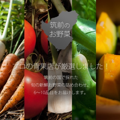 プロにおまかせ　筑前のお野菜ボックス6～10種類【お野菜の詰め合わせ100サイズ】【福岡県飯塚市】