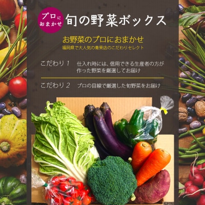 プロにおまかせ　筑前のお野菜ボックス6～10種類【お野菜の詰め合わせ100サイズ】【福岡県飯塚市】
