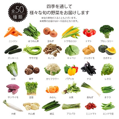 2023年7月発送開始『定期便』プロにおまかせ　筑前のお野菜ボックス6～10種類 全12回