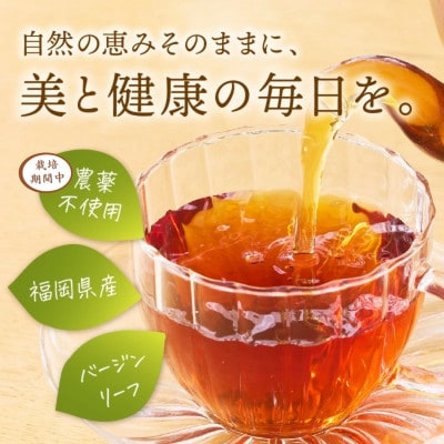 モリンガ珈琲・和紅茶・ほうじ茶・煎茶・モリンガパウダー