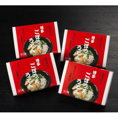 博多ごぼう天うどん　12食セット(飯塚市)