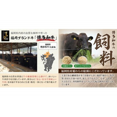 博多和牛 モモ焼肉用400g(飯塚市)