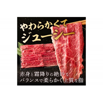 博多和牛 モモスライス400g(飯塚市)