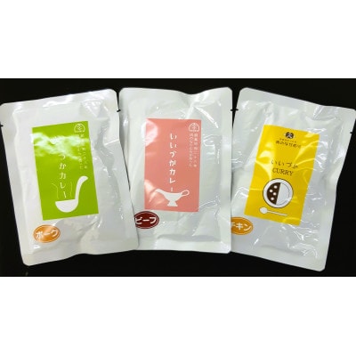いいづかカレー3種アソート (ビーフ180g×1、ポーク180g×1、チキン180g×1) 3パック