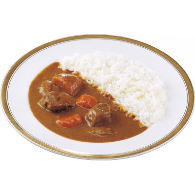 いいづかカレービーフ15食セット