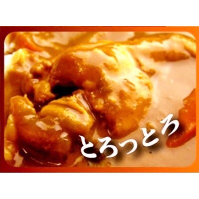 いいづかカレーチキン15食セット