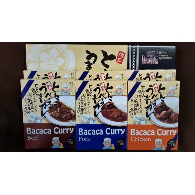 博多とんこつバカカカレー6食セット