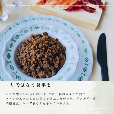 【飯塚ブランド認定】無添加プレミアムペットフード　さとふる限定5種詰め合わせ