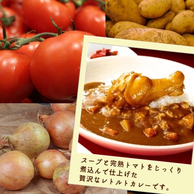 はかた地どり 手羽元入りレトルトカレー(3食) 温めるだけで簡単 地鶏の旨味が凝縮 ほぐれる(飯塚)
