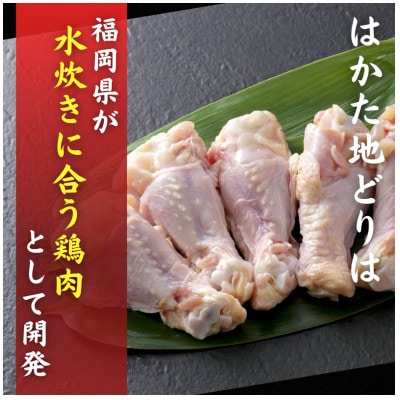 はかた地どり 手羽元入りレトルトカレー(3食) 温めるだけで簡単 地鶏の旨味が凝縮 ほぐれる(飯塚)