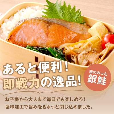 【訳あり】塩銀鮭切り身 甘塩仕立て ちょうど良い厚さ!脂がのったサケ切身 800g(飯塚市)