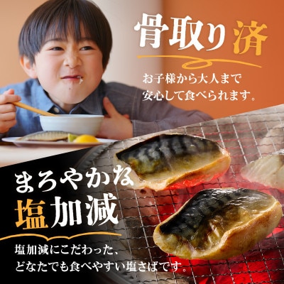 【訳あり】骨取り 塩さば切り身 脂ののったノルウェーサバ 便利サイズの切身! 600g(飯塚市)