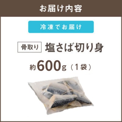 【訳あり】骨取り 塩さば切り身 脂ののったノルウェーサバ 便利サイズの切身! 600g(飯塚市)