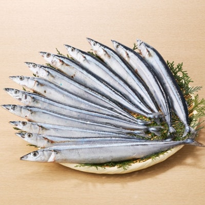 昆布塩さんま(12尾) 脂の乗った新鮮な秋刀魚(サンマ)冷凍で便利 ご飯のおともにおつまみに(飯塚市