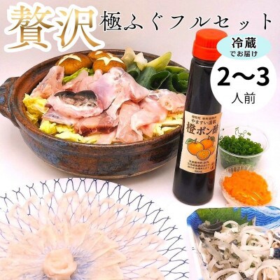 冷蔵で完結!名店やますいの『贅沢』極ふぐフルセット 2～3人前(飯塚市)