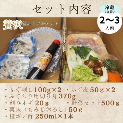 冷蔵で完結!名店やますいの『贅沢』極ふぐフルセット 2～3人前(飯塚市)