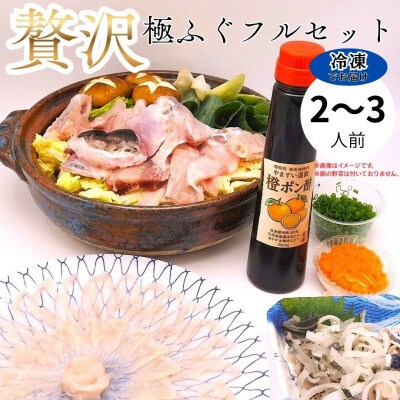 冷凍でお届け!名店やますいの『贅沢』極ふぐフルセット 2〜3人前(飯塚市)