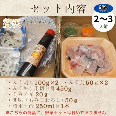 冷凍でお届け!名店やますいの『贅沢』極ふぐフルセット 2〜3人前(飯塚市)