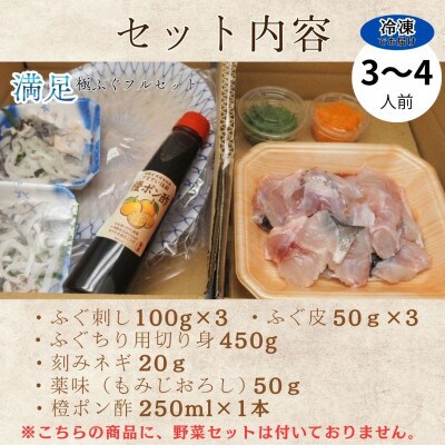 冷凍でお届け!名店やますいの『満足』極ふぐフルセット 3～4人前(飯塚市)
