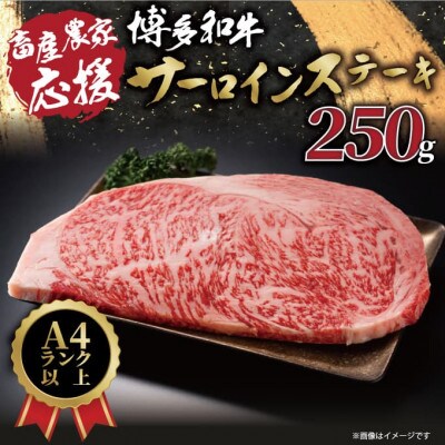 【A4～A5】博多和牛サーロインステーキ 250g(250g×1枚)
