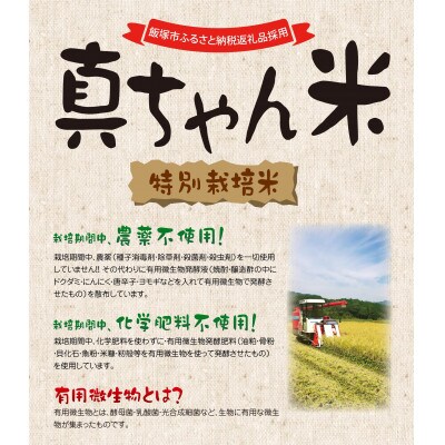 【令和8年産】栽培期間中農薬・化学肥料不使用 真ちゃん米(精米) 5kg