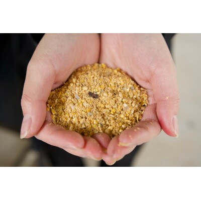 【毎月定期便】福岡 平飼い卵 あかねの虜(30個入)全12回