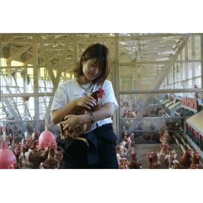 【毎月定期便】福岡 平飼い卵 あかねの虜(40個入)全12回