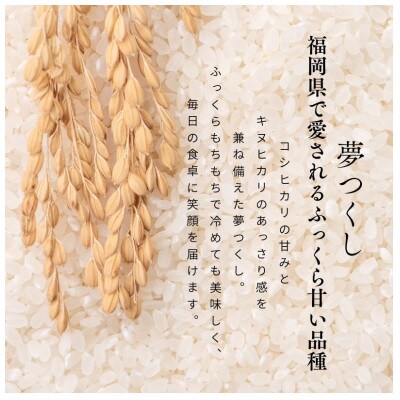 福岡県飯塚市産のお米(夢つくし)令和7年産　精米　5kg