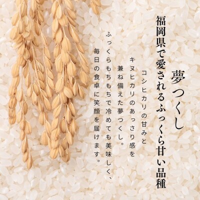 【無洗米】福岡県飯塚市産のお米(夢つくし)令和7年産　精米　10kg