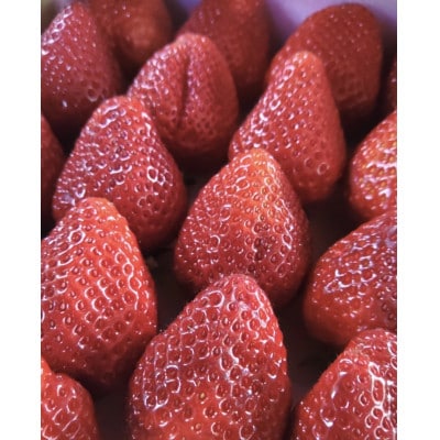 いちご(あまおう)福岡県産