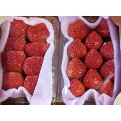 いちご(あまおう)福岡県産