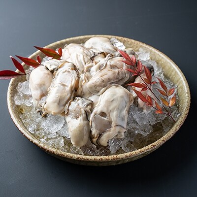 【ぷりっぷりで濃厚!剥きたて発送!!】釧路管内産・剥き牡蠣500g 牡蠣 F4F-0619