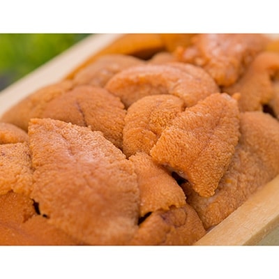 塩水詰め100g×折ウニ100g  F4F-0468