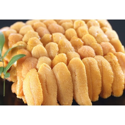 【特上】えぞばふんうに(折詰)100g ふるさと納税 うに F4F-1021