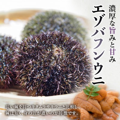 【鮮度抜群!生ウニ】生うに折60g F4F-3207