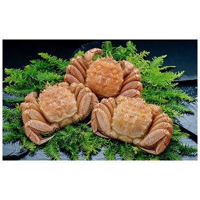 【浜茹で!】ボイル毛ガニ1.5kg 詰め(冷凍)3尾入り ふるさと納税 蟹 F4F-5466