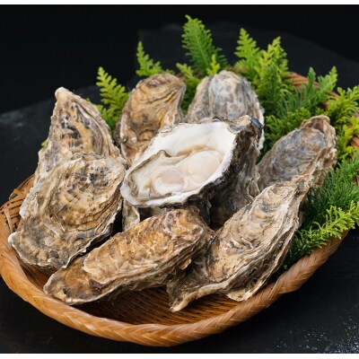 【ぷりっぷりで濃厚!】釧路管内産【活】牡蠣(小)12個 ふるさと納税 牡蠣 F4F-8911