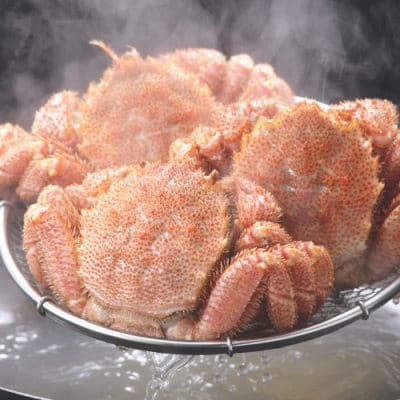 北海道産 ボイル毛蟹 3尾 1.0kg ふるさと納税 かに 蟹 F4F-5332