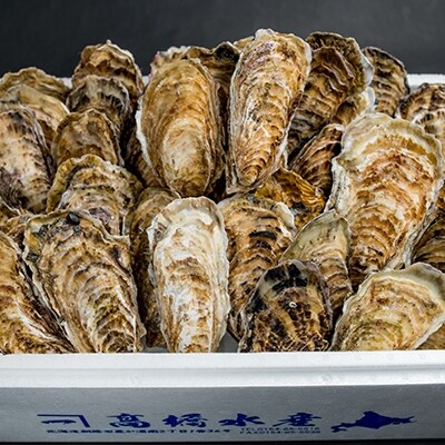 鮮度抜群!釧路管内産濃厚活生牡蠣25個入 ふるさと納税 牡蠣 F4F-0048