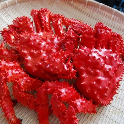 ボイル花咲蟹 2尾 1.1～1.2kg ふるさと納税 かに 蟹 F4F-3388