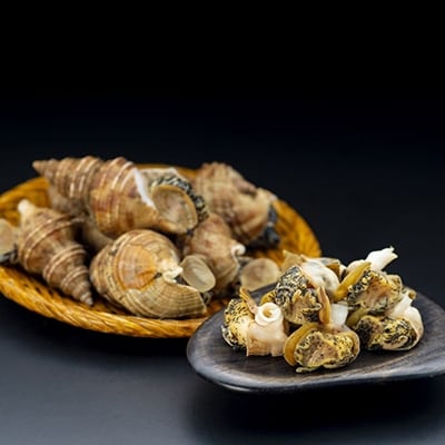 やわらか灯台ツブ(ボイルむき身) 1.0kg ふるさと納税 つぶ 貝 F4F-7769