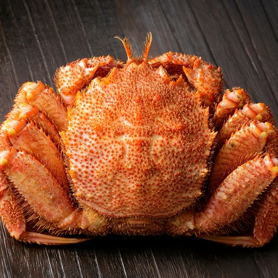 特大級毛がに1.0kg～1.2kg×1尾 ふるさと納税 蟹 F4F-0690