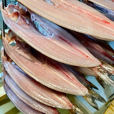 なまらうまい!田村特選自家製開きホッケ3枚入 ふるさと納税 魚 F4F-0863