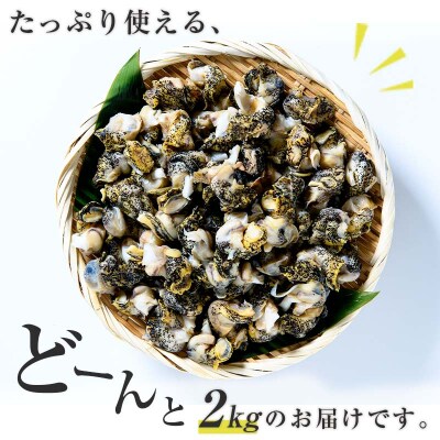 煮つぶ 1kg×2袋 ふるさと納税 つぶ 貝類 F4F-4663