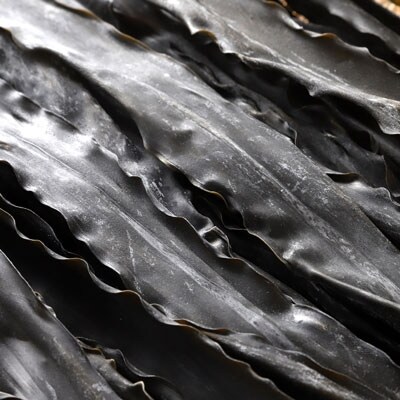 1等品 釧路特選昆布(なが昆布)500g ふるさと納税 昆布 F4F-0338