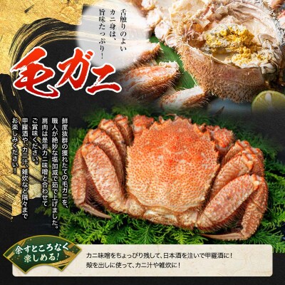 特選!! 北海道かにパーティーセット ふるさと納税 かに 蟹 F4F-5321