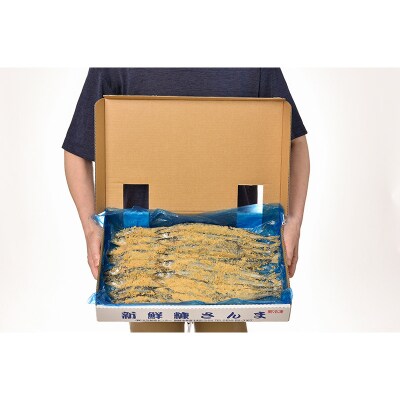 【北海道産】 新鮮糠さんま 20尾化粧箱  魚 F4F-1453